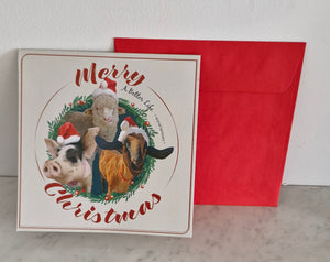 Better Life Animal Sanctuary Christmas Card