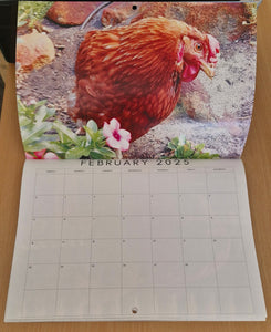 Wendy The Chicken 2025 Calendar